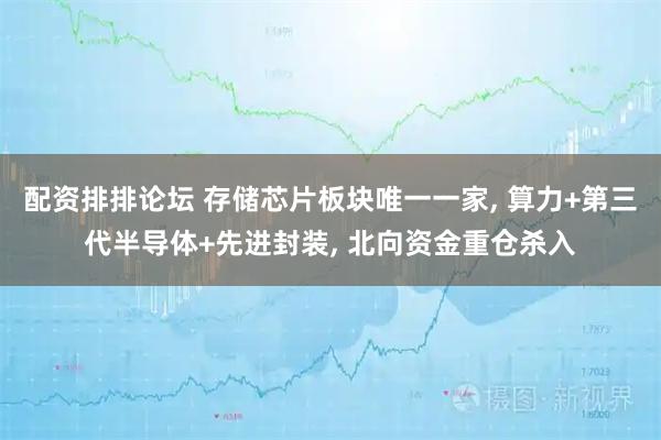 配资排排论坛 存储芯片板块唯一一家, 算力+第三代半导体+先进封装, 北向资金重仓杀入