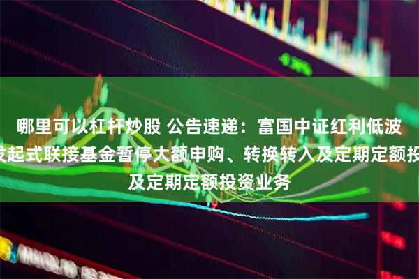哪里可以杠杆炒股 公告速递：富国中证红利低波动ETF发起式联接基金暂停大额申购、转换转入及定期定额投资业务
