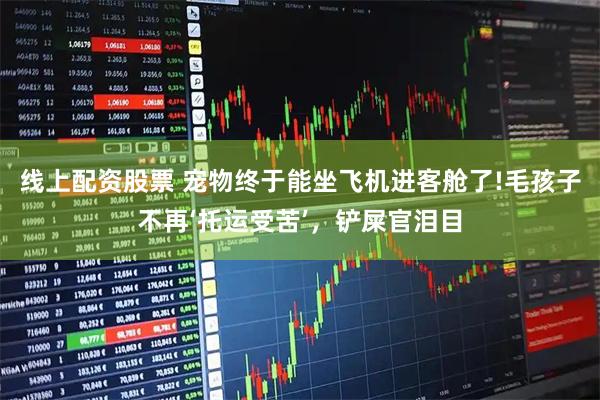 线上配资股票 宠物终于能坐飞机进客舱了!毛孩子不再‘托运受苦’,铲屎官泪目
